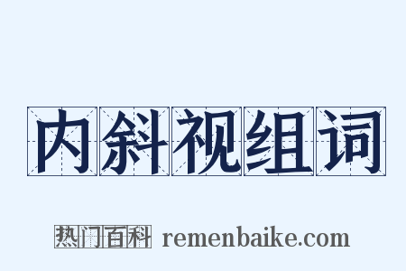内斜视组词是什么意思的图片